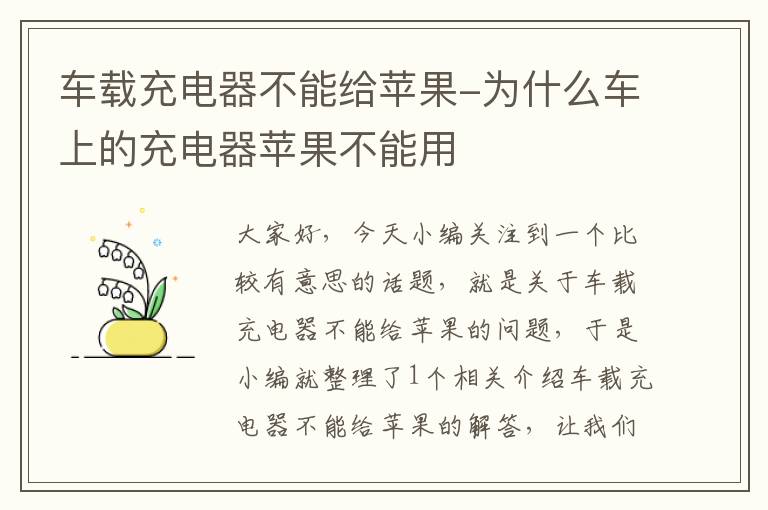 车载充电器不能给苹果-为什么车上的充电器苹果不能用