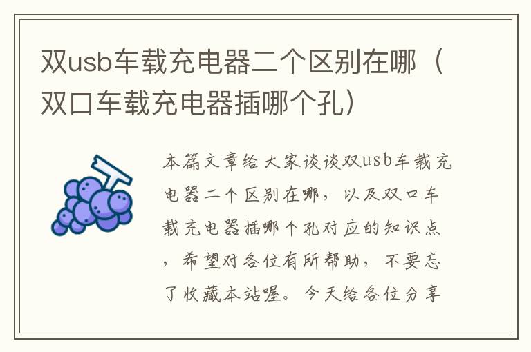 双usb车载充电器二个区别在哪（双口车载充电器插哪个孔）