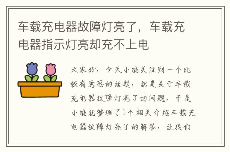 车载充电器故障灯亮了，车载充电器指示灯亮却充不上电