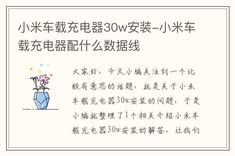 小米车载充电器30w安装-小米车载充电器配什么数据线