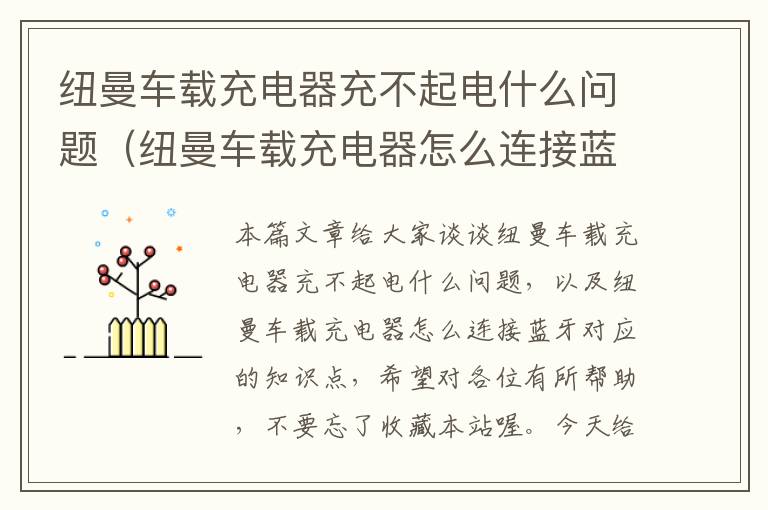 纽曼车载充电器充不起电什么问题（纽曼车载充电器怎么连接蓝牙）