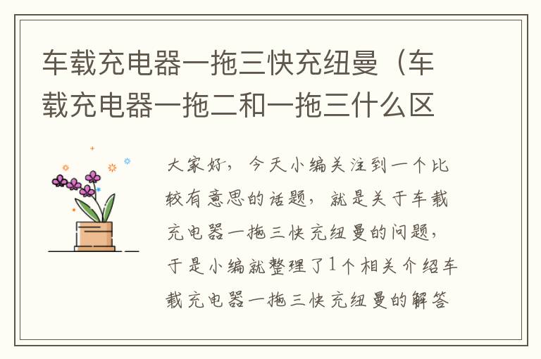 车载充电器一拖三快充纽曼（车载充电器一拖二和一拖三什么区别）