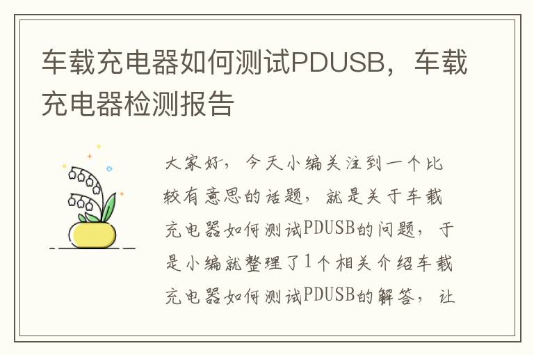 车载充电器如何测试PDUSB，车载充电器检测报告