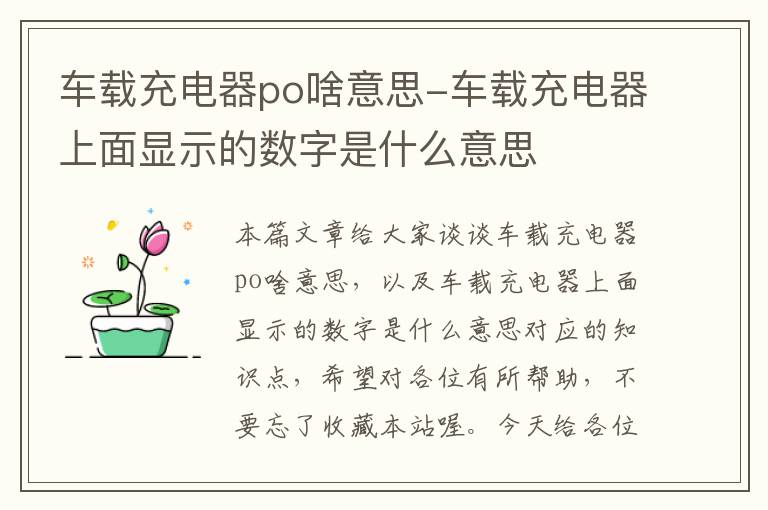 车载充电器po啥意思-车载充电器上面显示的数字是什么意思