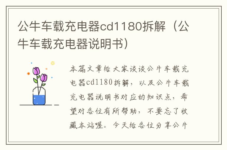 公牛车载充电器cd1180拆解（公牛车载充电器说明书）