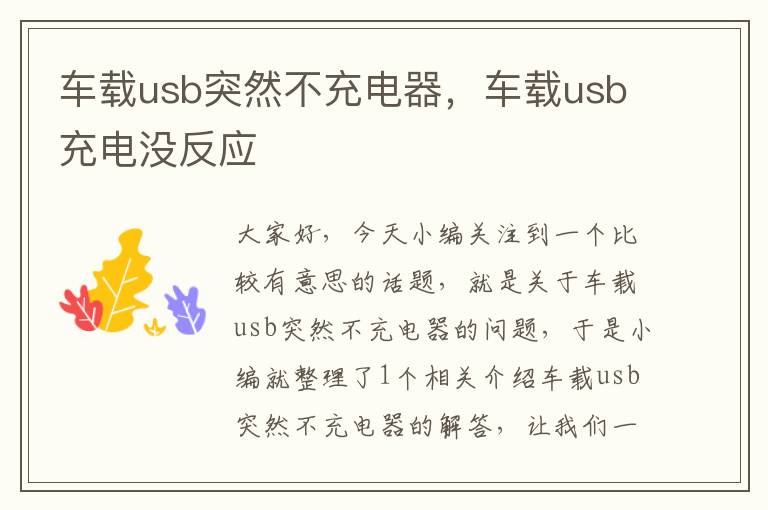 车载usb突然不充电器，车载usb充电没反应