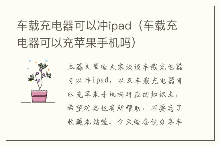 车载充电器可以冲ipad（车载充电器可以充苹果手机吗）