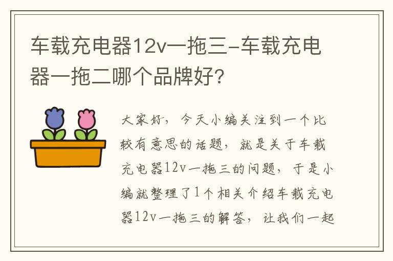 车载充电器12v一拖三-车载充电器一拖二哪个品牌好?