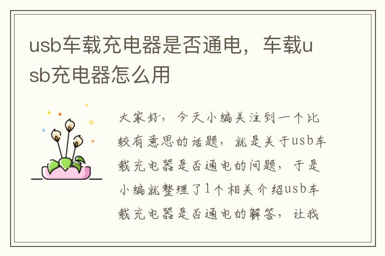 usb车载充电器是否通电，车载usb充电器怎么用