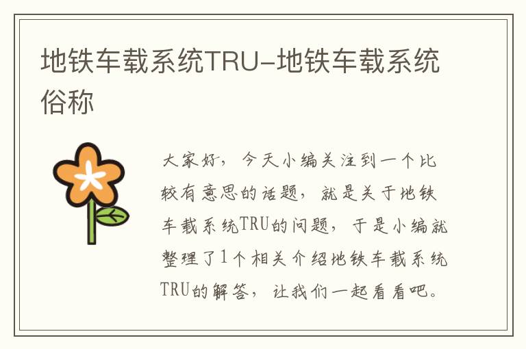 地铁车载系统TRU-地铁车载系统俗称