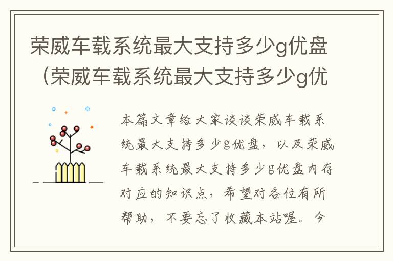 荣威车载系统最大支持多少g优盘（荣威车载系统最大支持多少g优盘内存）