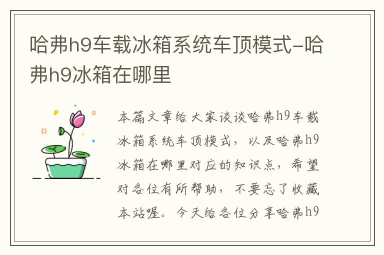 哈弗h9车载冰箱系统车顶模式-哈弗h9冰箱在哪里