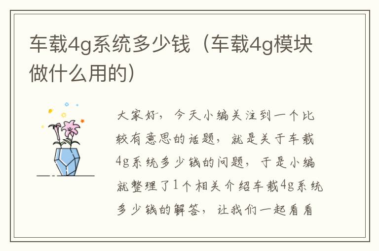 车载4g系统多少钱（车载4g模块做什么用的）