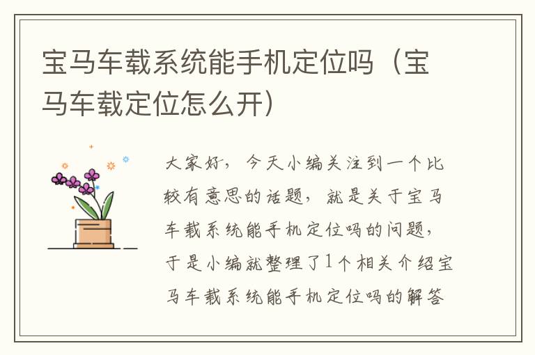 宝马车载系统能手机定位吗（宝马车载定位怎么开）