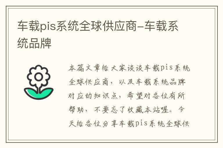 车载pis系统全球供应商-车载系统品牌