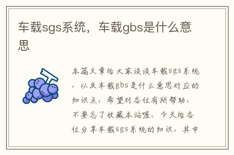 车载sgs系统，车载gbs是什么意思