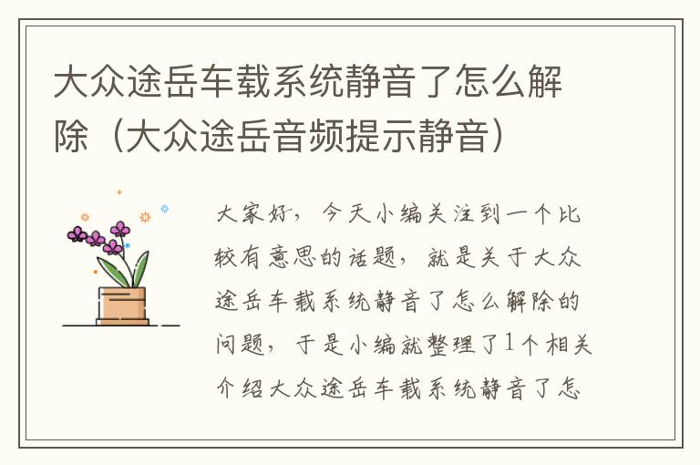 大众途岳车载系统静音了怎么解除（大众途岳音频提示静音）