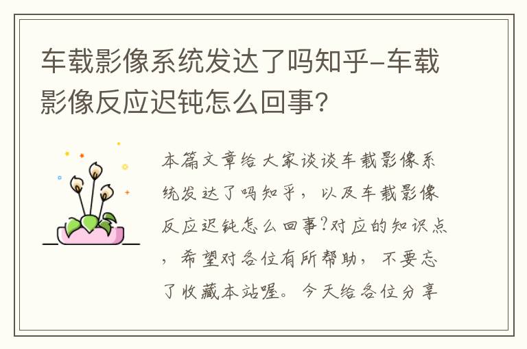 车载影像系统发达了吗知乎-车载影像反应迟钝怎么回事?