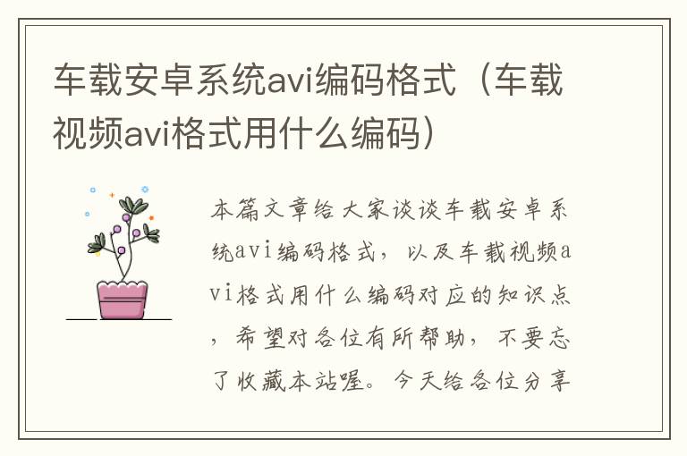 车载安卓系统avi编码格式（车载视频avi格式用什么编码）