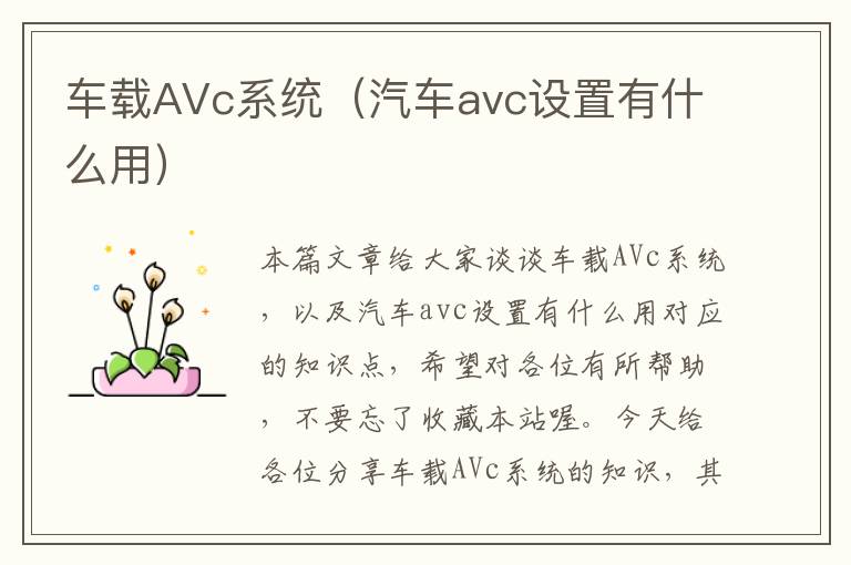 车载AVc系统（汽车avc设置有什么用）