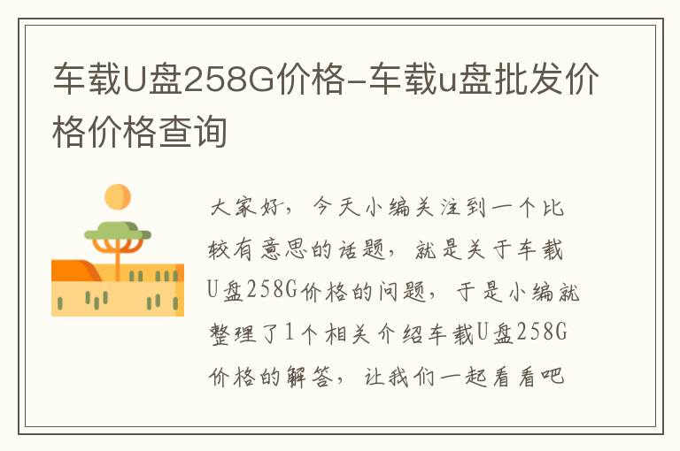 车载U盘258G价格-车载u盘批发价格价格查询