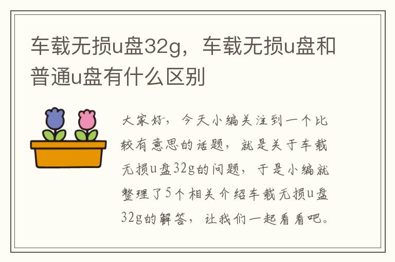 车载无损u盘32g，车载无损u盘和普通u盘有什么区别