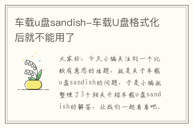 车载u盘sandish-车载U盘格式化后就不能用了