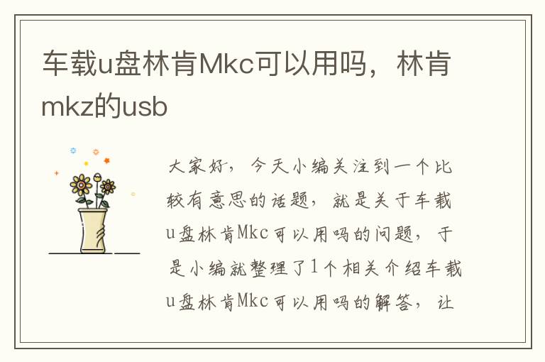 车载u盘林肯Mkc可以用吗，林肯mkz的usb