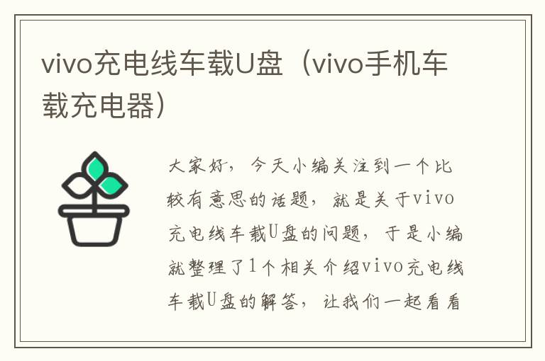 vivo充电线车载U盘（vivo手机车载充电器）