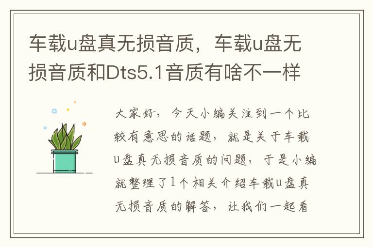 车载u盘真无损音质，车载u盘无损音质和Dts5.1音质有啥不一样