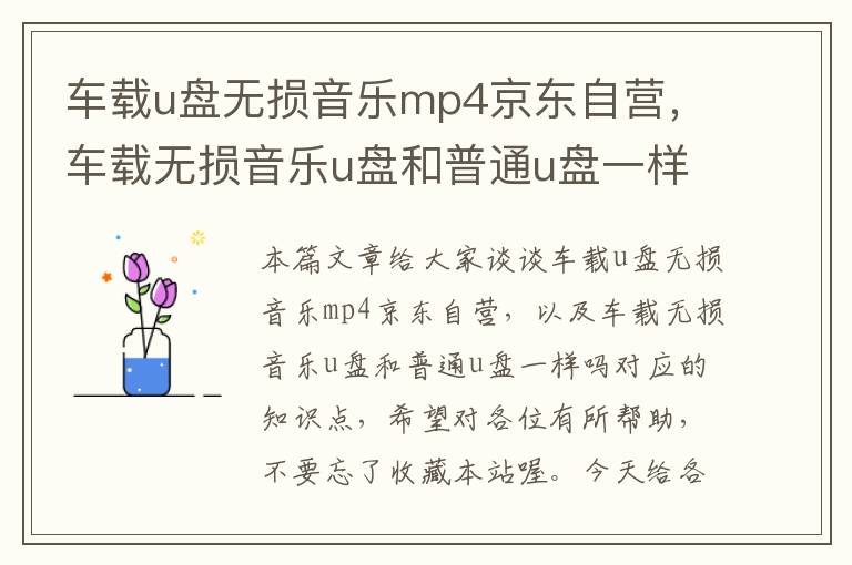 车载u盘无损音乐mp4京东自营，车载无损音乐u盘和普通u盘一样吗