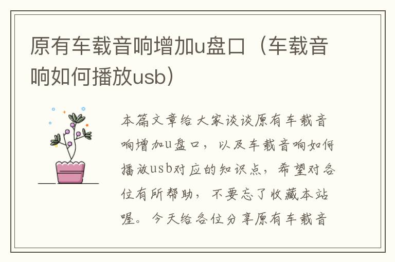 原有车载音响增加u盘口（车载音响如何播放usb）