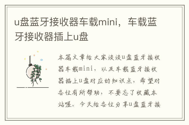 u盘蓝牙接收器车载mini，车载蓝牙接收器插上u盘