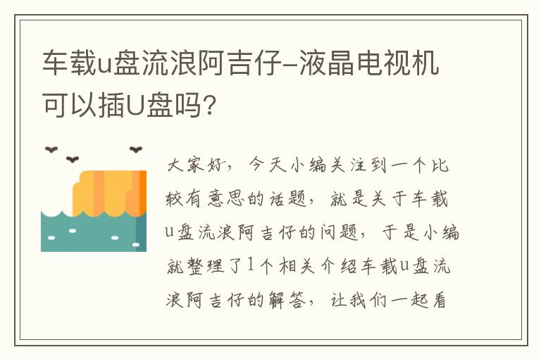 车载u盘流浪阿吉仔-液晶电视机可以插U盘吗?