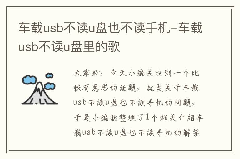 车载usb不读u盘也不读手机-车载usb不读u盘里的歌