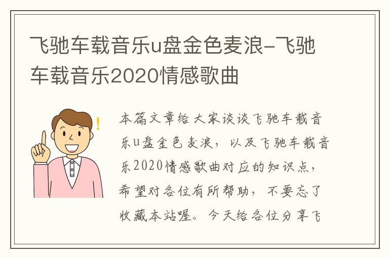 飞驰车载音乐u盘金色麦浪-飞驰车载音乐2020情感歌曲