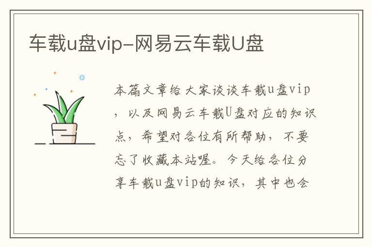 车载u盘vip-网易云车载U盘