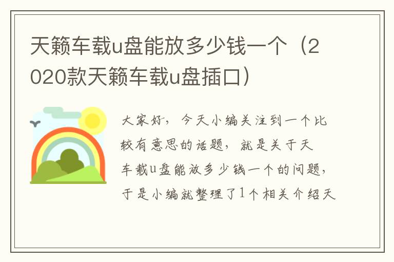 天籁车载u盘能放多少钱一个（2020款天籁车载u盘插口）