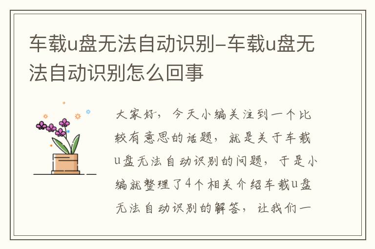 车载u盘无法自动识别-车载u盘无法自动识别怎么回事