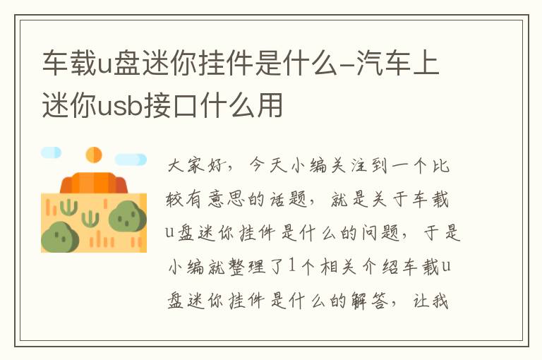 车载u盘迷你挂件是什么-汽车上迷你usb接口什么用