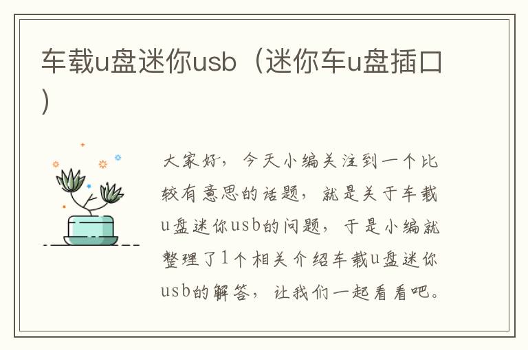 车载u盘迷你usb（迷你车u盘插口）