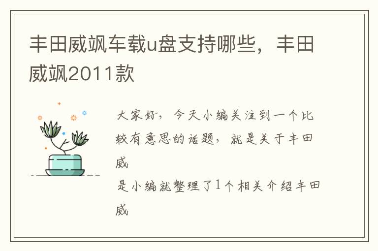 丰田威飒车载u盘支持哪些，丰田威飒2011款