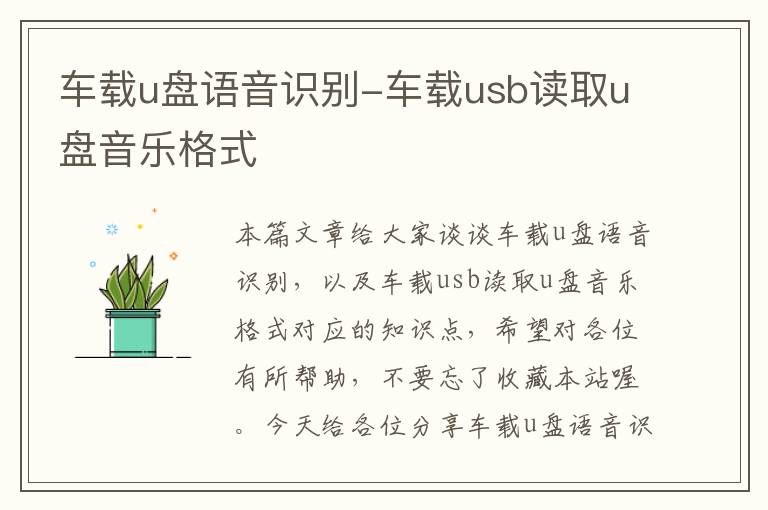 车载u盘语音识别-车载usb读取u盘音乐格式