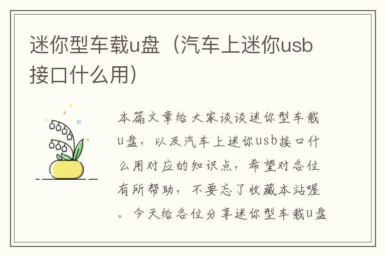 迷你型车载u盘（汽车上迷你usb接口什么用）