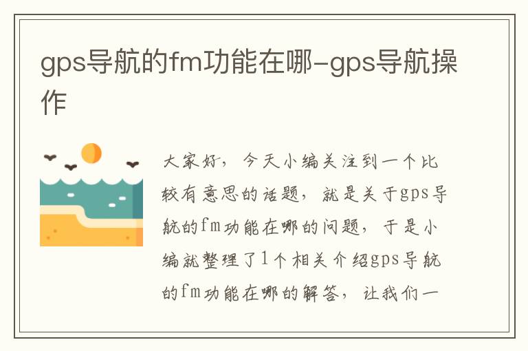 gps导航的fm功能在哪-gps导航操作