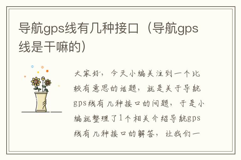 导航gps线有几种接口（导航gps线是干嘛的）